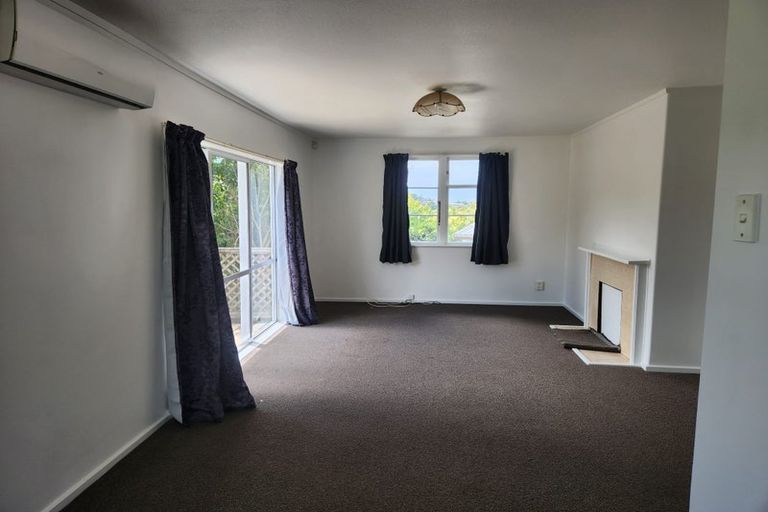 Photo of property in 8 Nutsey Avenue, Northcote, Auckland, 0627