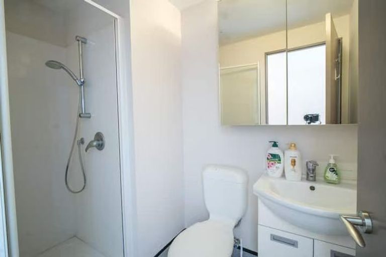 Photo of property in Dual Apartments, 108/142 Vivian Street, Te Aro, Wellington, 6011
