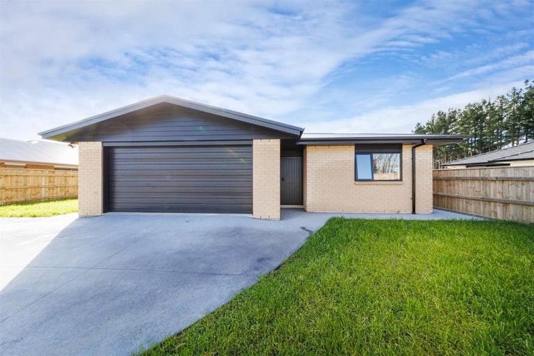 Photo of property in 53 Hereford Street, Marton, 4710