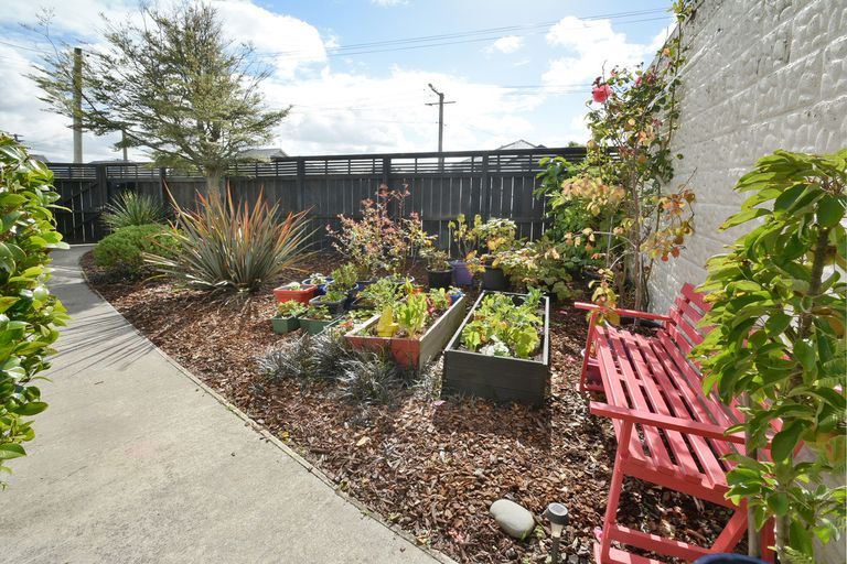 Photo of property in 8 Corunna Street, Saint Kilda, Dunedin, 9012