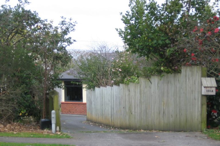 Photo of property in 111a Poaka Avenue, Dinsdale, Hamilton, 3204