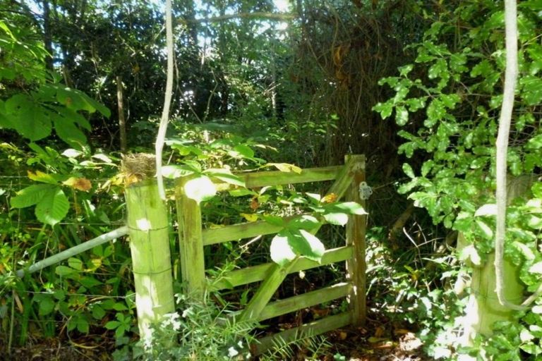 Photo of property in 53 Mckenzie Street, Geraldine, 7930