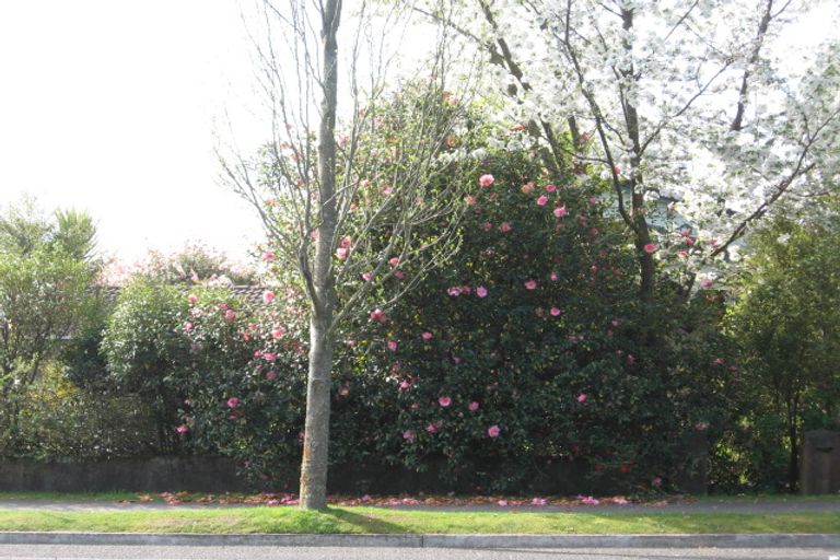 Photo of property in 9 Devon Street, Glenholme, Rotorua, 3010