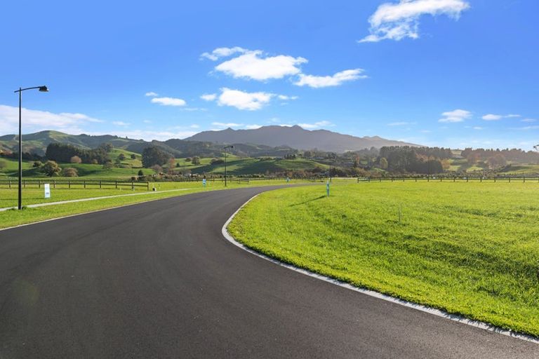 Photo of property in 128 Taraire Road, Pirongia, 3802