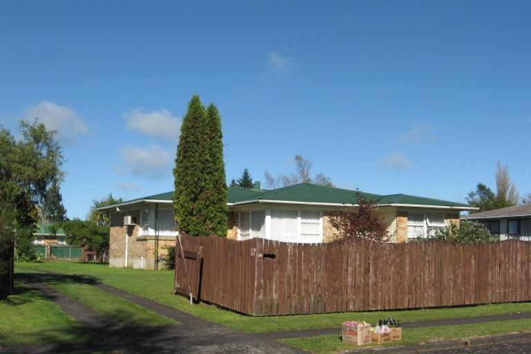 Photo of property in 17 Lauriston Street, Tokoroa, 3420