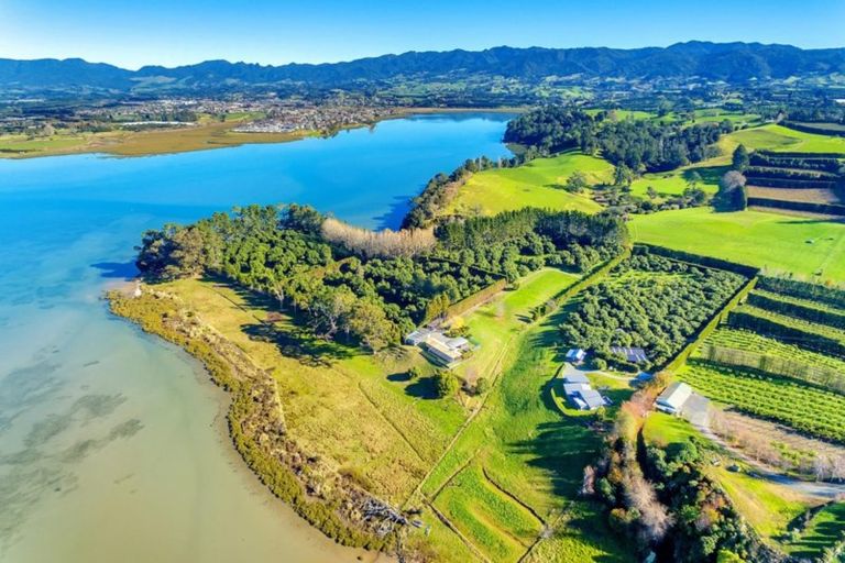 Photo of property in 252g Kauri Point Road, Tahawai, Katikati, 3170