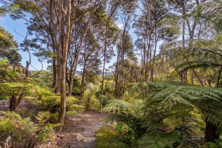 Photo of property in 860 Buffalo Road, Coromandel, 3506