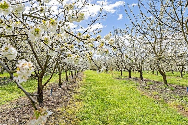 Photo of property in 1520 Tram Road, Swannanoa, Rangiora, 7475