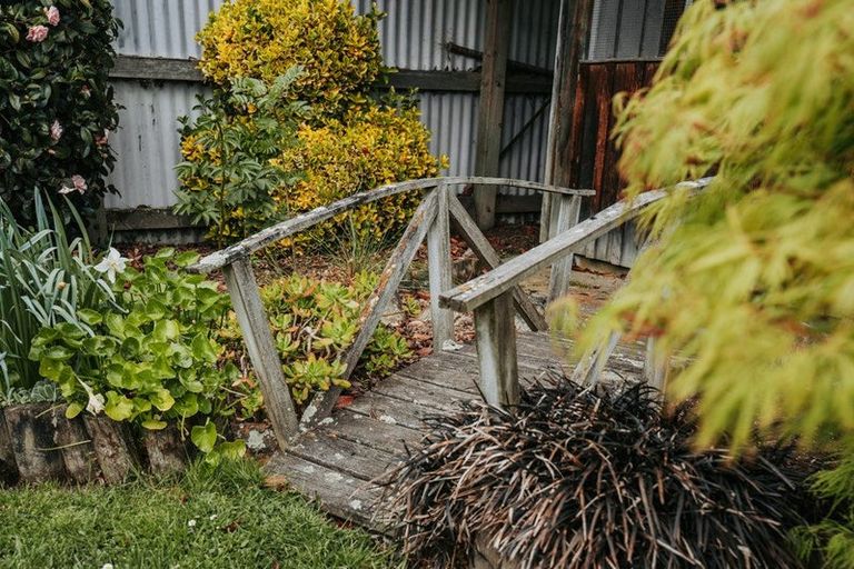 Photo of property in 81 Spenser Street, Milton, 9220