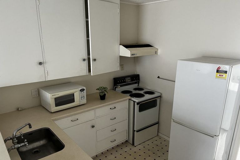 Photo of property in 19 Sheen Street, Roslyn, Dunedin, 9010