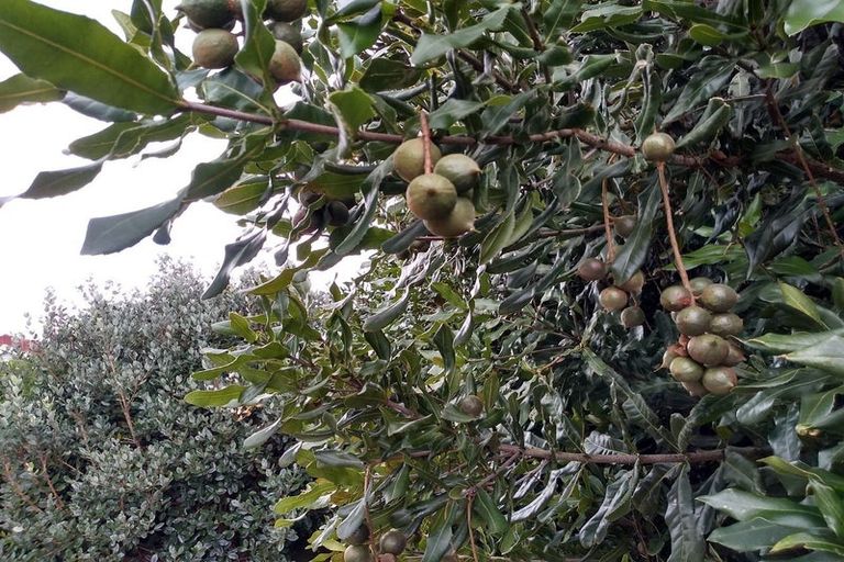 Photo of property in 10 Citation Way, Botany Downs, Auckland, 2010