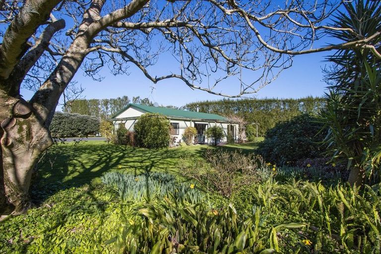 Photo of property in 81 Lockington Road, Aongatete, Katikati, 3181