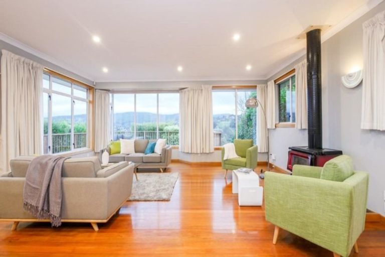 Photo of property in 161 Signal Hill Road, Opoho, Dunedin, 9010