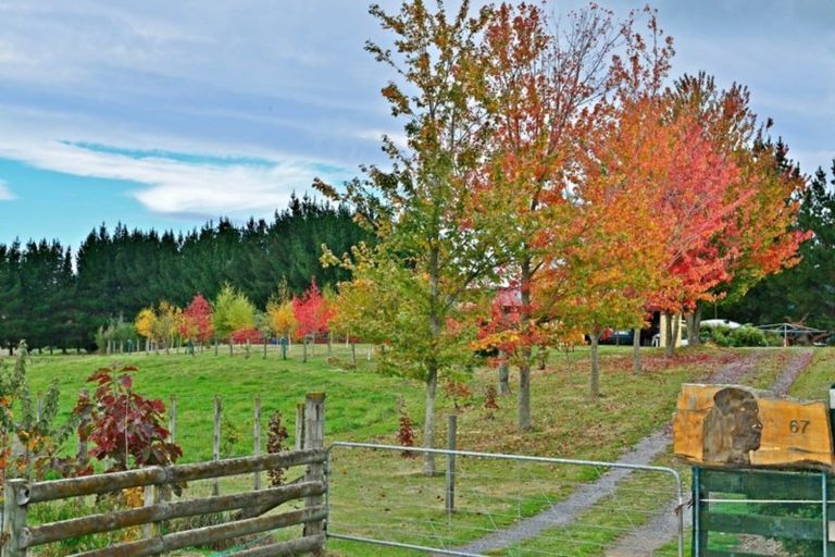 Photo of property in 67 White Road, Broadlands, Reporoa, 3081