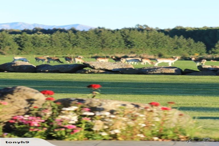 Photo of property in 18 Meadowlinks Lane, Pleasant Point, 7974