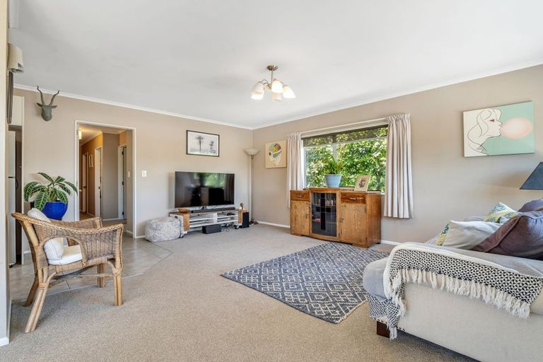 Photo of property in 151a Edgecumbe Road, Tauranga South, Tauranga, 3112