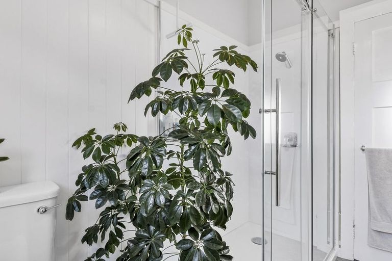 Photo of property in 262 Macandrew Road, Forbury, Dunedin, 9012