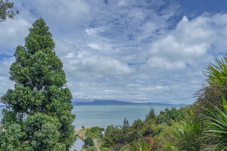 Photo of property in 530 Thames Coast Sh25 Road, Te Puru, Thames, 3575