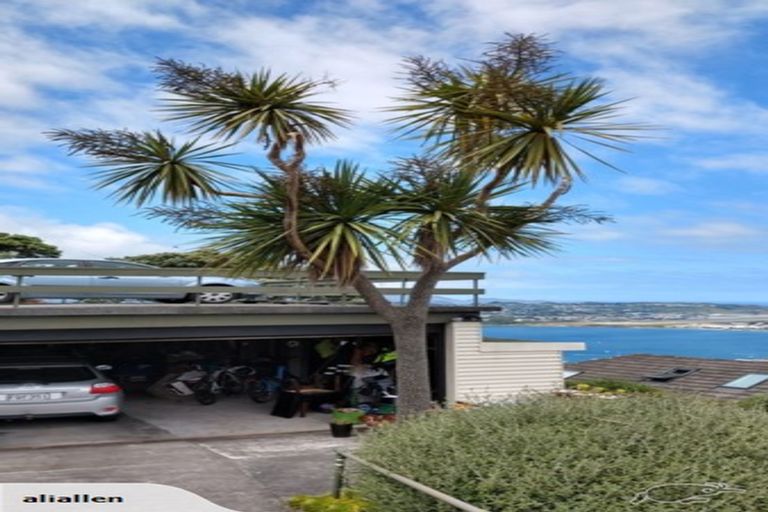 Photo of property in 53 Alexandra Road, Hataitai, Wellington, 6021