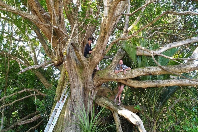 Photo of property in 14 Maning Street, Kohukohu, 0491