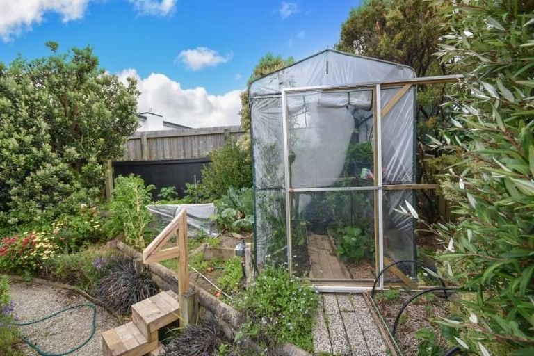 Photo of property in 4 Harbour Heights, Waverley, Dunedin, 9013