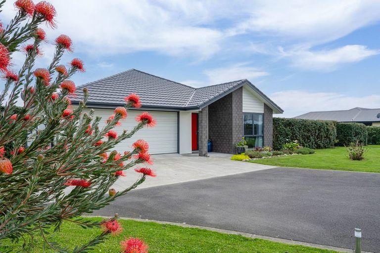 Photo of property in 9 Ruapai Drive, Levin, 5571