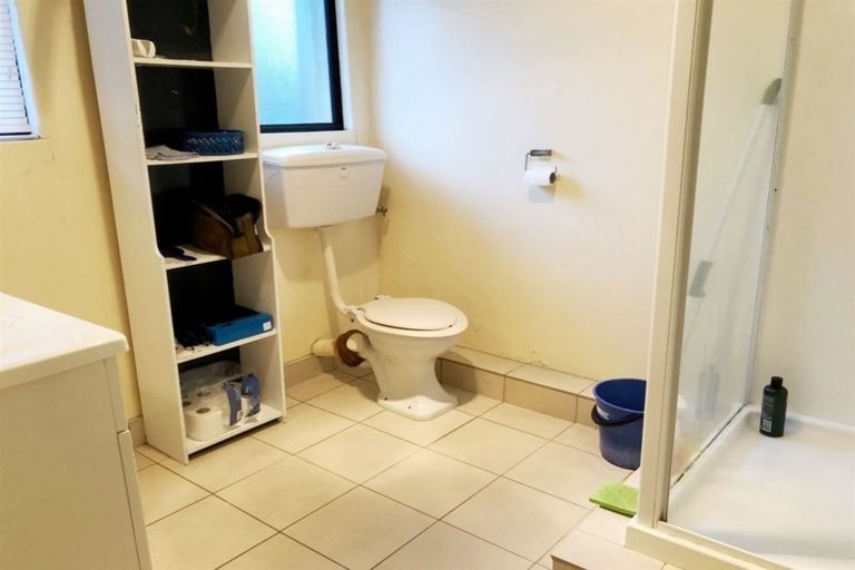 Photo of property in 1 Derwent Street, Morningside, Auckland, 1022
