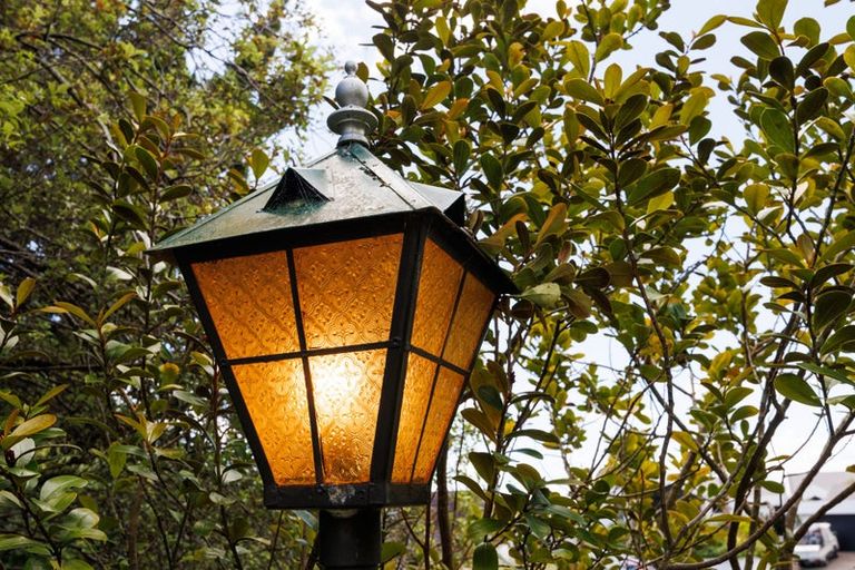 Photo of property in 101 Clifton Terrace, Fitzherbert, Palmerston North, 4410