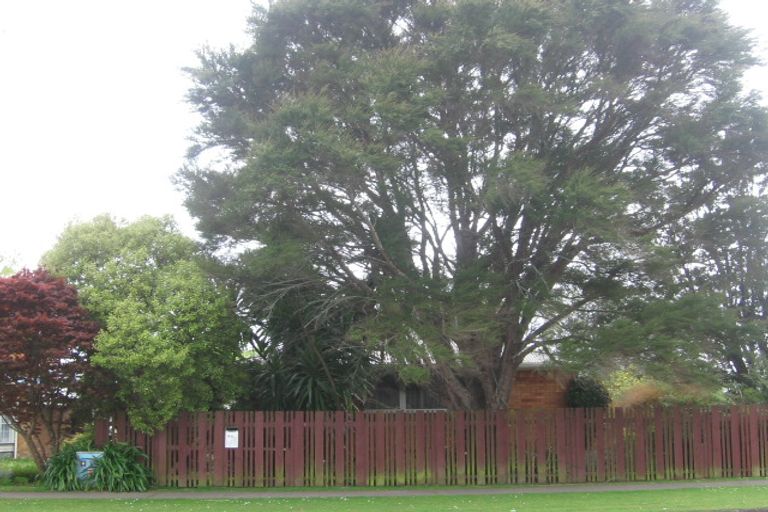 Photo of property in 94 Rawhiti Avenue, Matamata, 3400