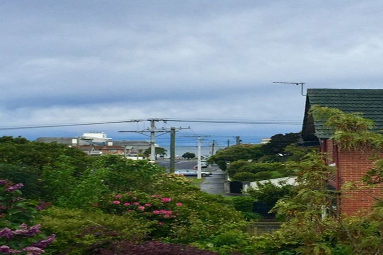 Photo of property in 29 Norfolk Street, Saint Clair, Dunedin, 9012