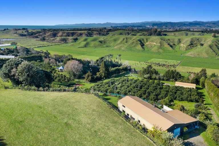 Photo of property in 333 Paerata Ridge Road, Waiotahe, Opotiki, 3198