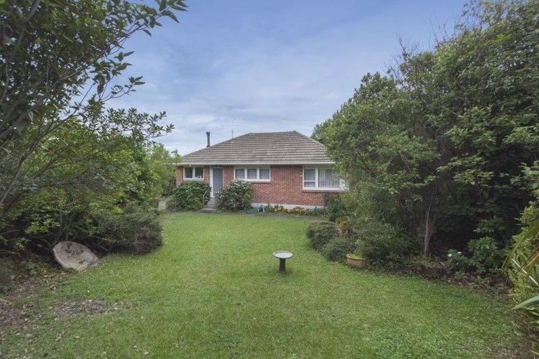 Photo of property in 416 Don Buck Road, Massey, Auckland, 0614