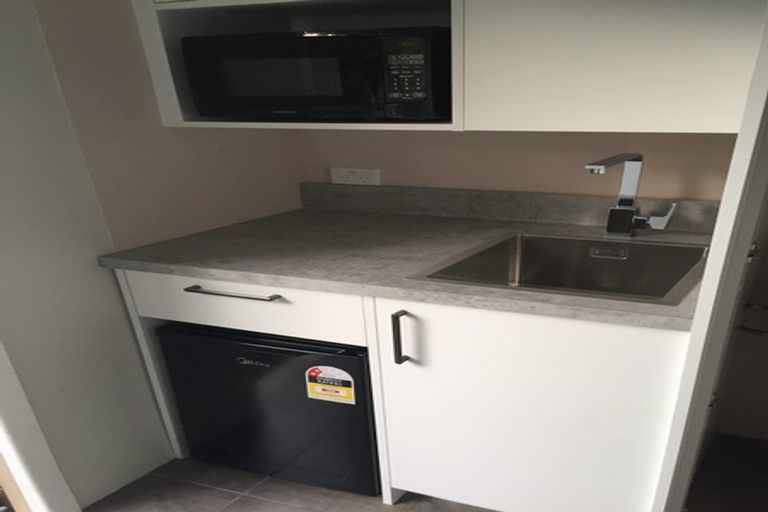 Photo of property in 17 Palm Avenue, Lyall Bay, Wellington, 6022