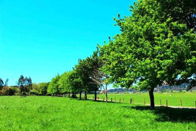 Photo of property in 37 Karenza Lane, Awakeri, Whakatane, 3193