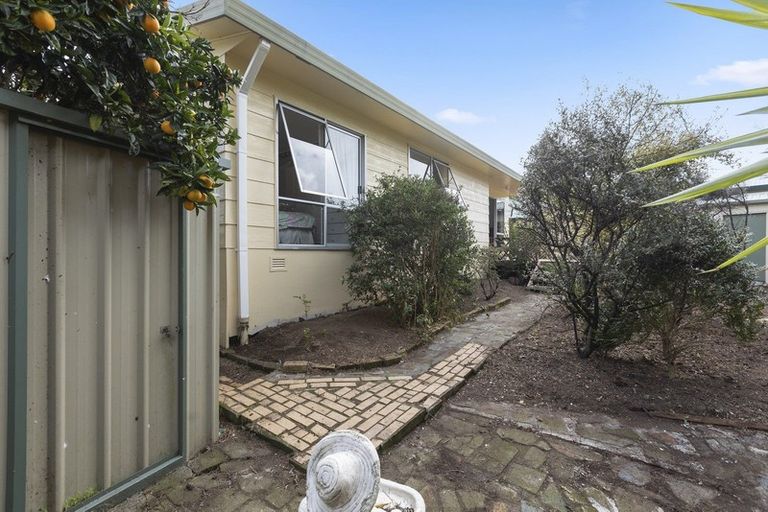 Photo of property in 5b Coventry Street, Judea, Tauranga, 3110