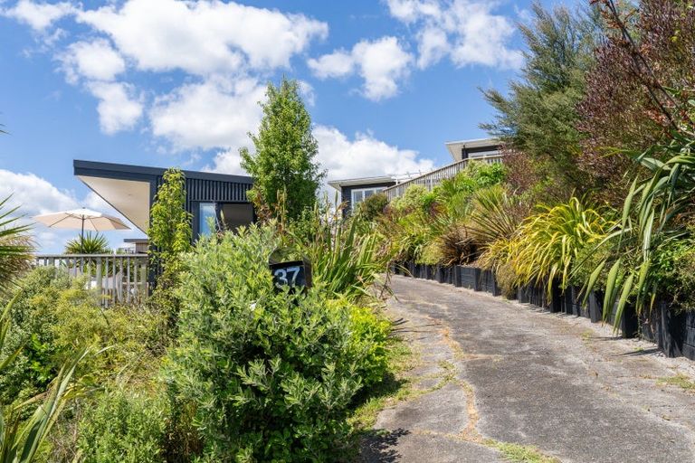 Photo of property in 37 Long Street, Raglan, 3225