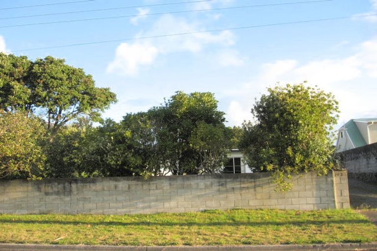 Photo of property in 103 Patuwai Drive, Whangamata, 3620