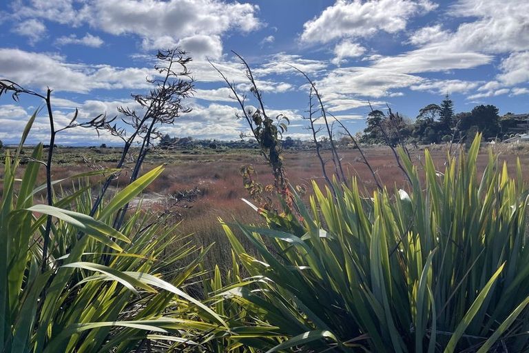 Photo of property in 63b Westwood Street, Bellevue, Tauranga, 3110