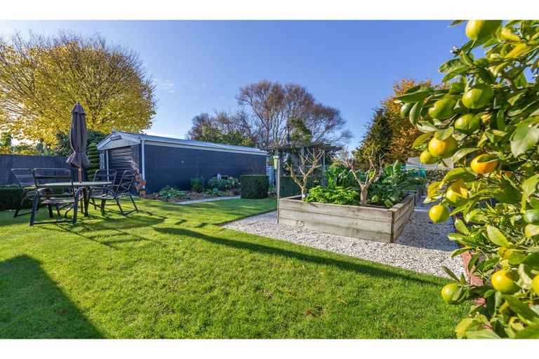 Photo of property in 38 Colombo Street, Cashmere, Christchurch, 8022