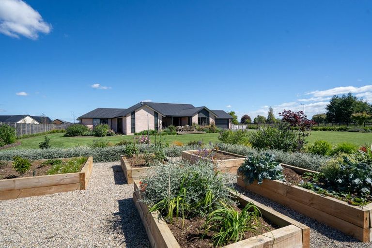 Photo of property in 39 Sunline Drive, Leamington, Cambridge, 3432