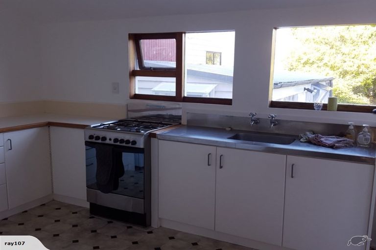 Photo of property in 113 Wallace Street, Mount Cook, Wellington, 6021