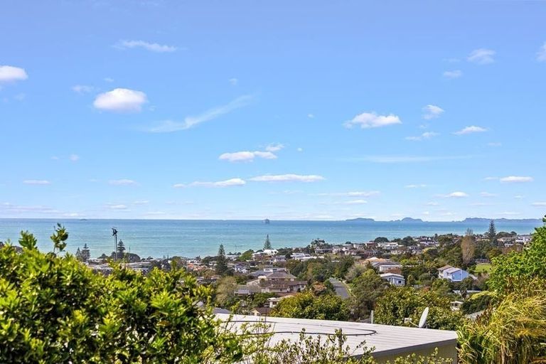 Photo of property in 9 Elizabeth Place, Mairangi Bay, Auckland, 0630