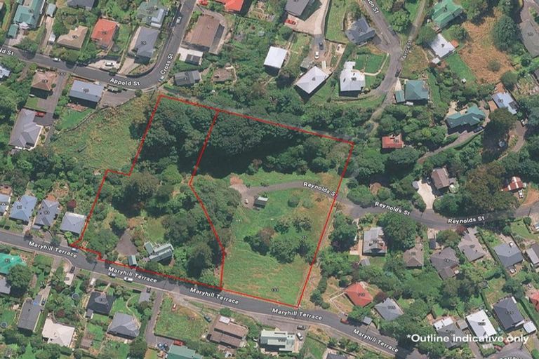 Photo of property in 101 Maryhill Terrace, Maryhill, Dunedin, 9011