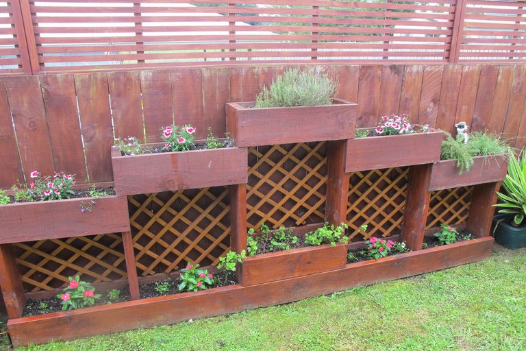 Photo of property in 14 Bryce Street, Kihikihi, Te Awamutu, 3800