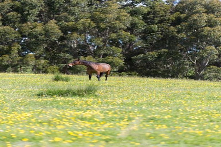 Photo of property in 29b Harrison Road, Fordell, Whanganui, 4577