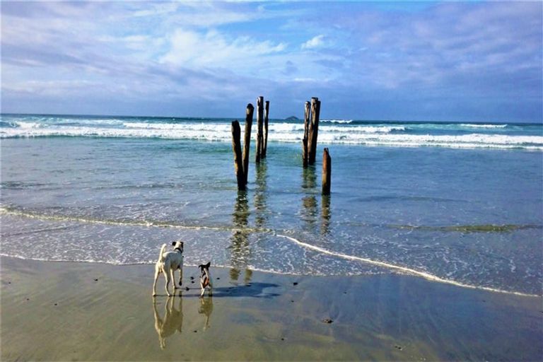 Photo of property in 27 Motu Street, Saint Clair, Dunedin, 9012