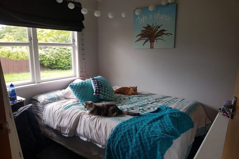 Photo of property in 55 Rochester Street, Tamatea, Napier, 4112