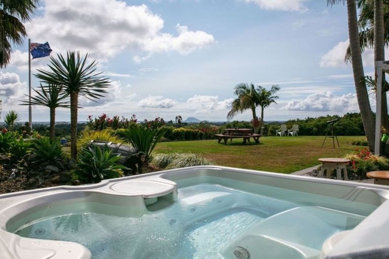 Photo of property in 56 Plummer Road, Whakamarama, Tauranga, 3179