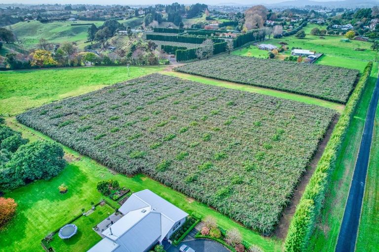 Photo of property in 36 Echo Valley Way, Tauriko, Tauranga, 3110