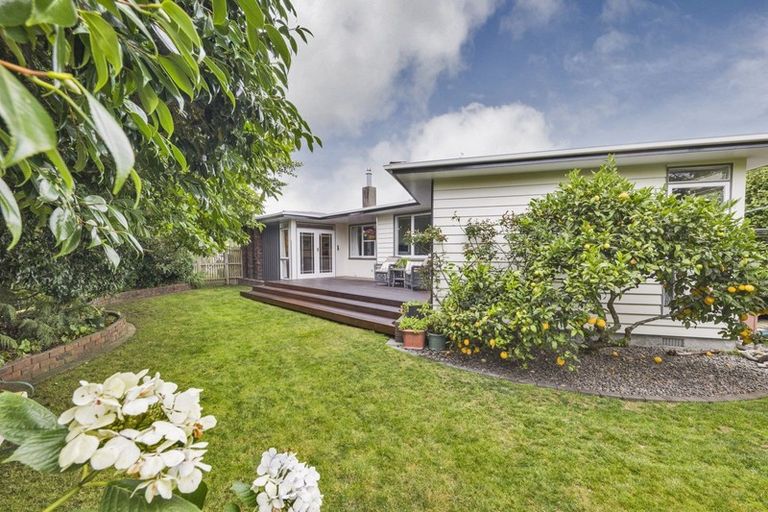 Photo of property in 10 Edwards Place, Terrace End, Palmerston North, 4410